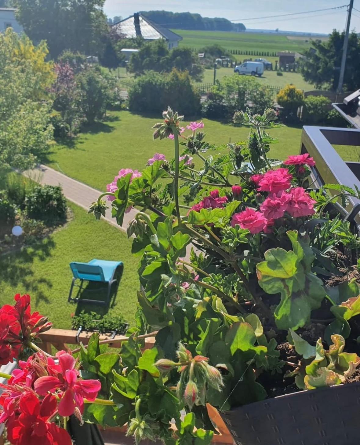Apartamenty Na Baltyckiej Choczewo Exteriör bild